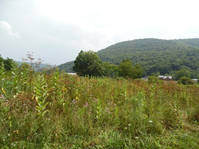 2.8 Acres of Land Slaty Fork, West Virginia, WV