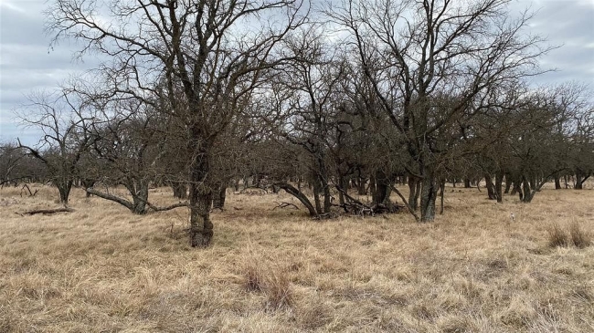 1 Acre of Residential Land May, Texas, TX