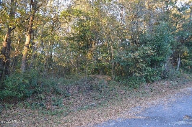 0.89 Acres of Residential Land Macon, Georgia, GA