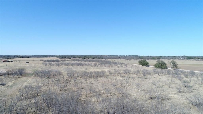 20 Acres of Land Coleman, Texas, TX