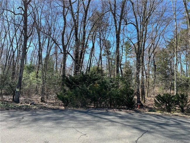 81.1 Acres of Land Enfield, Connecticut, CT