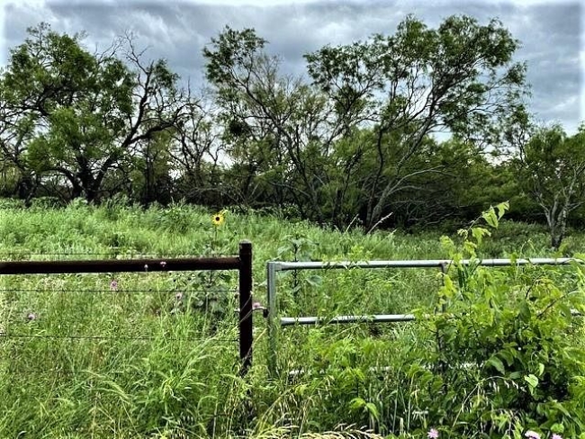3.5 Acres of Residential Land May, Texas, TX