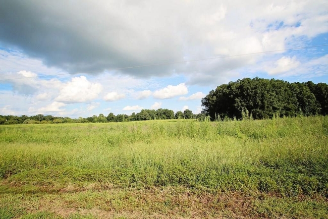 1.4 Acres of Residential Land Walling, Tennessee, TN