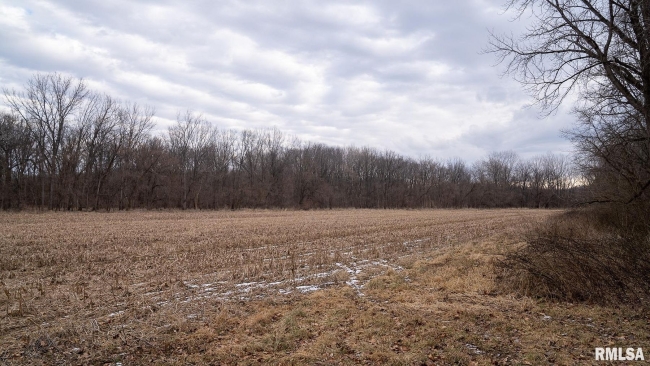 52 Acres of Recreational Land & Farm Tower Hill, Illinois, IL