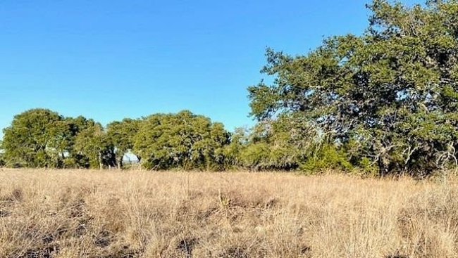 21.2 Acres of Land Goldthwaite, Texas, TX