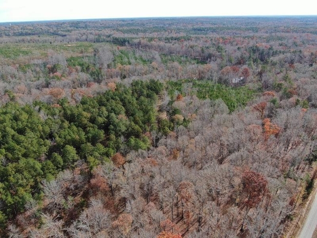 105 Acres of Mixed-Use Land Ridgeway, South Carolina, SC