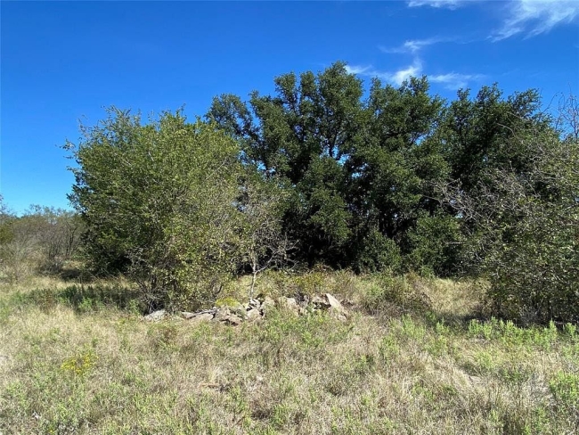 37 Acres of Recreational Land Santa Anna, Texas, TX