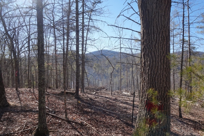 10.3 Acres of Improved Land White Sulphur Springs, West Virginia, WV