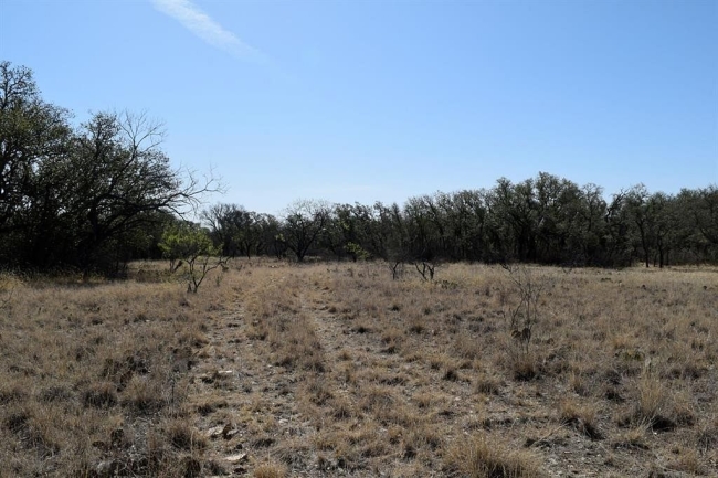 25.5 Acres of Recreational Land Valera, Texas, TX