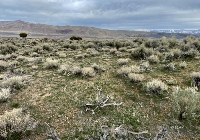 2.1 Acres of Residential Land Elko, Nevada, NV