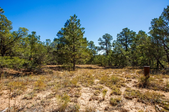 4.9 Acres of Land Tijeras, New Mexico, NM