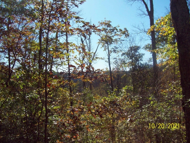 137 Acres of Land Falling Spring, West Virginia, WV