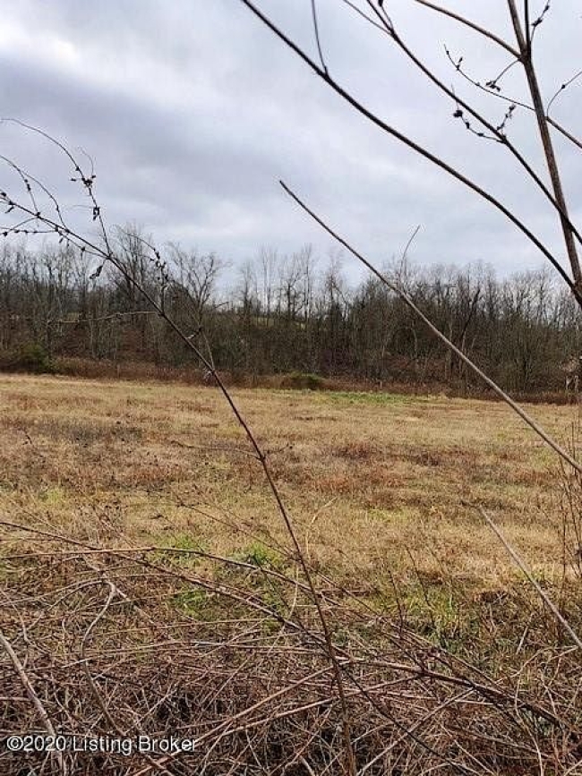 5.3 Acres of Residential Land Shelbyville, Kentucky, KY