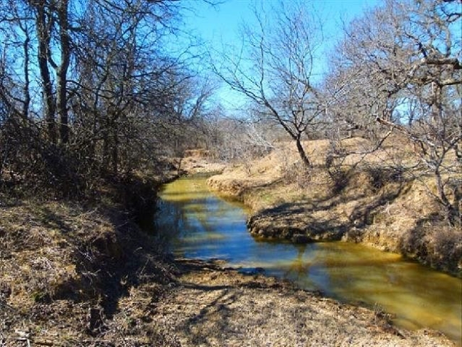 91.5 Acres of Recreational Land Early, Texas, TX
