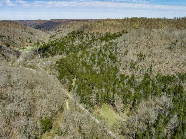 96.2 Acres of Recreational Land Baxter, Tennessee, TN