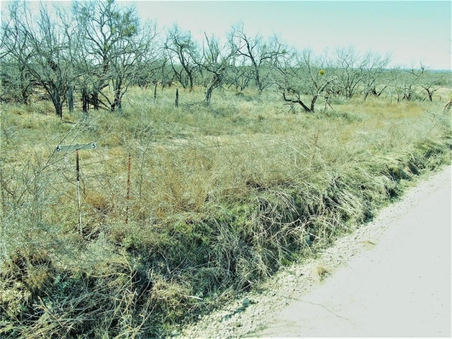 3.5 Acres of Residential Land May, Texas, TX
