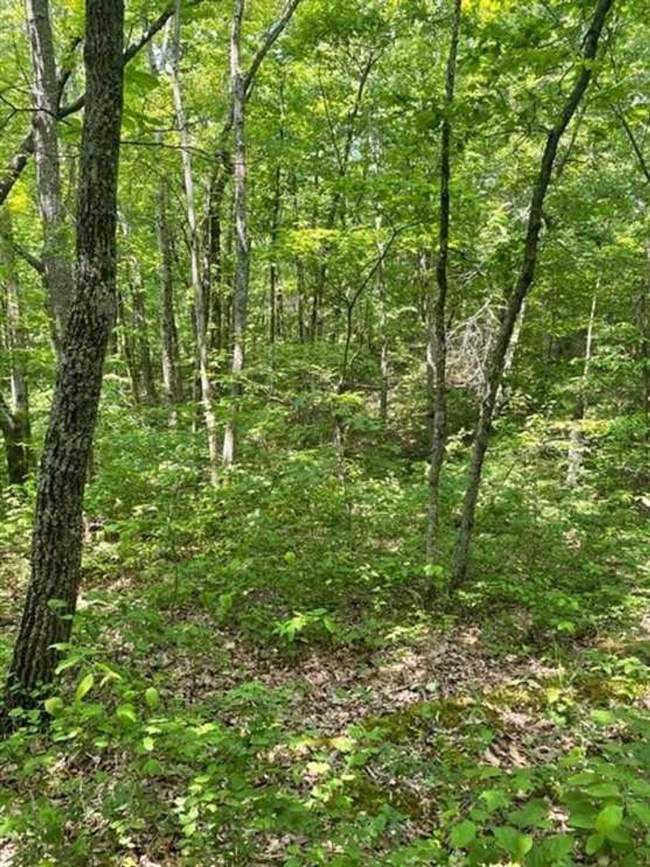 6.1 Acres of Residential Land Altamont, Tennessee, TN