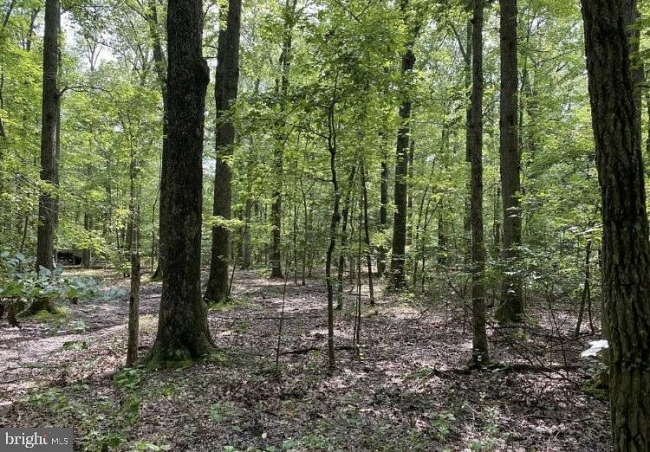 2.4 Acres of Residential Land Shady Side, Maryland, MD