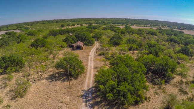 455 Acres of Improved Land Melvin, Texas, TX