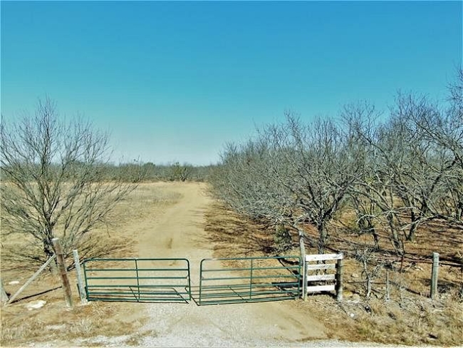 100 Acres of Recreational Land Bangs, Texas, TX