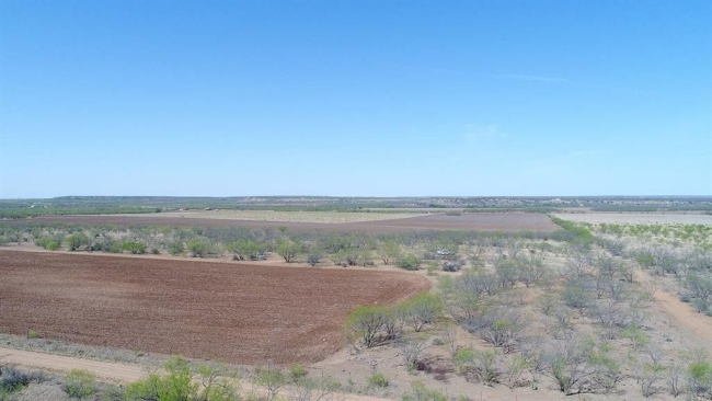 162 Acres of Agricultural Land Coleman, Texas, TX