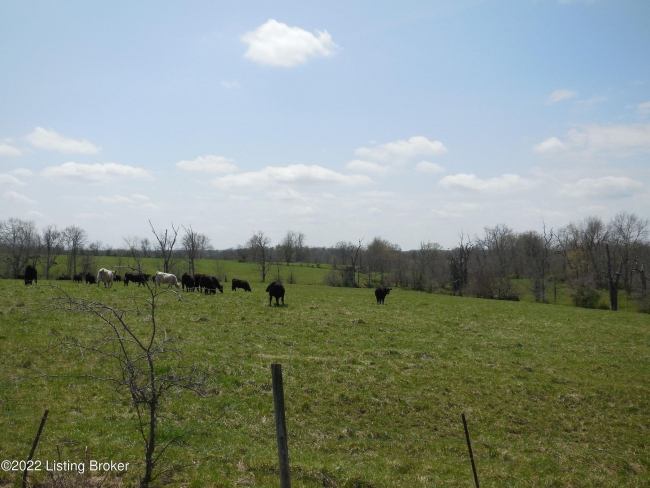 175 Acres of Agricultural Land Turners Station, Kentucky, KY
