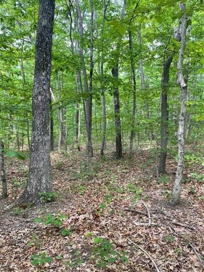 6 Acres of Residential Land Altamont, Tennessee, TN