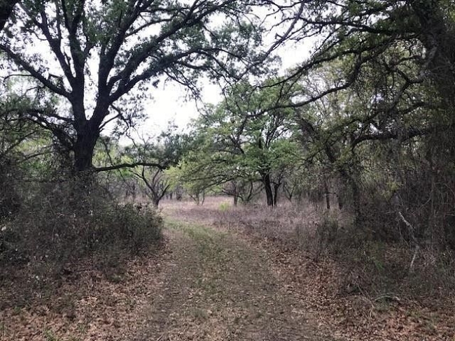 28.5 Acres of Recreational Land May, Texas, TX