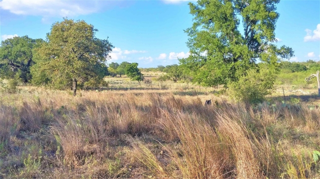 3.7 Acres of Residential Land Valley Spring, Texas, TX
