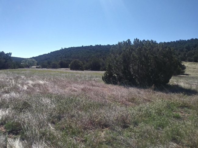 9 Acres of Land Edgewood, New Mexico, NM