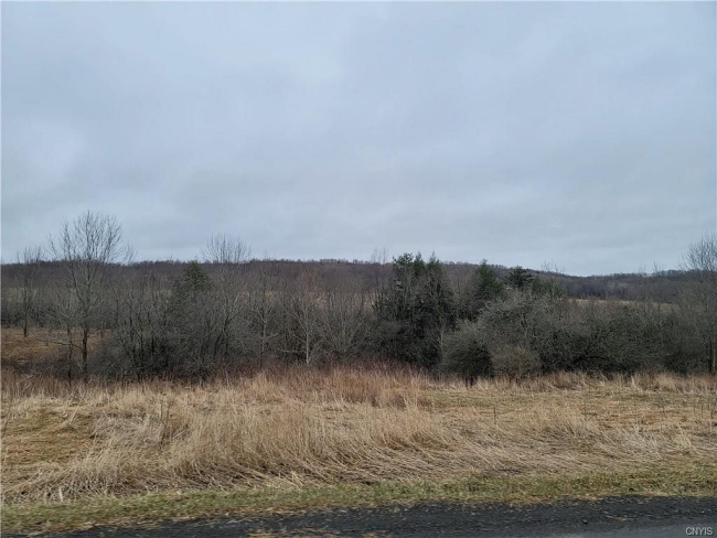 5.6 Acres of Residential Land Litchfield Town, New York, NY