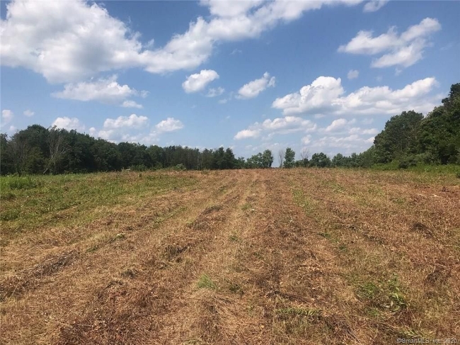 66.5 Acres of Agricultural Land Prospect, Connecticut, CT