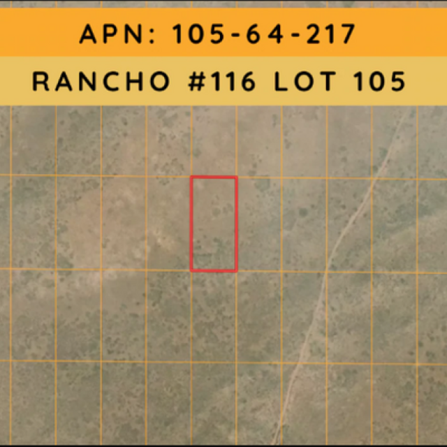 1.25 Acre in Navajo County, Arizona
