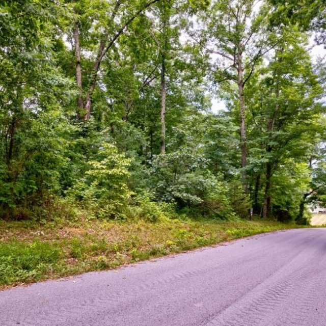 1.69 Acre Lot with Norris Lake Access