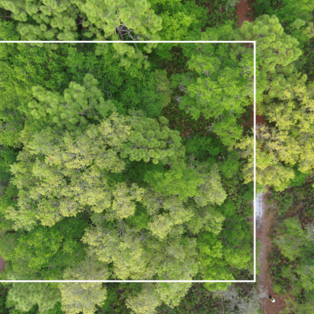 0.23-acre Beautiful Homesite near Orlando FL, Mobile/Modular Homes allowed, Comps at $65,000 and up, BUY TODAY FOR ONLY $19,900!