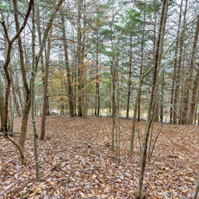 2.64 Acre Building Lot with Norris Lake Access