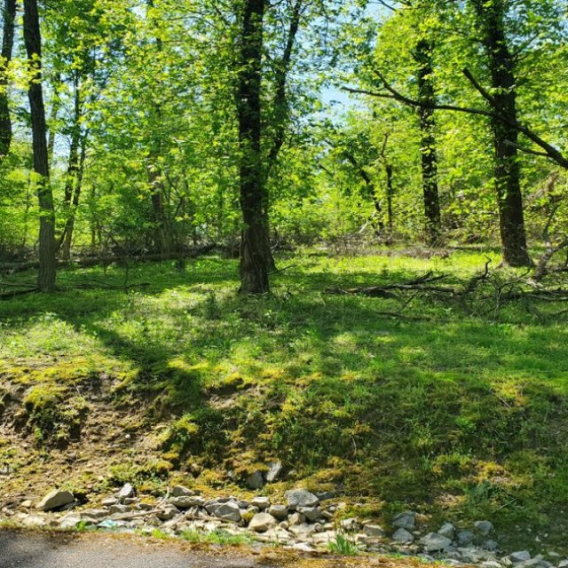3/4 Acre Building Lot with Cherokee Lake Access