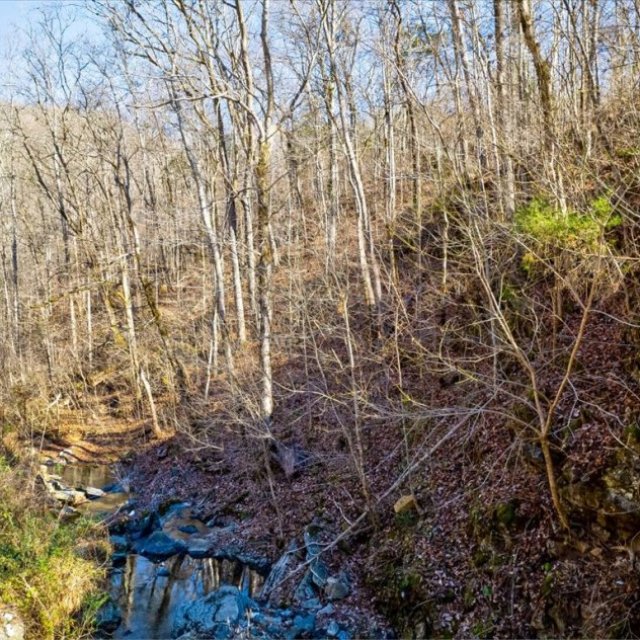 14 Unrestricted Acres with Creek