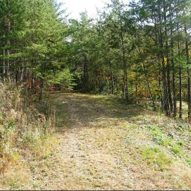Amazing 0.52 acre lot in Murphy, NC with power and water available