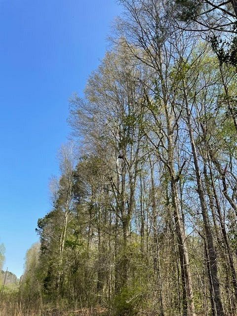 11 Acres of Recreational Land Forest, Mississippi, MS