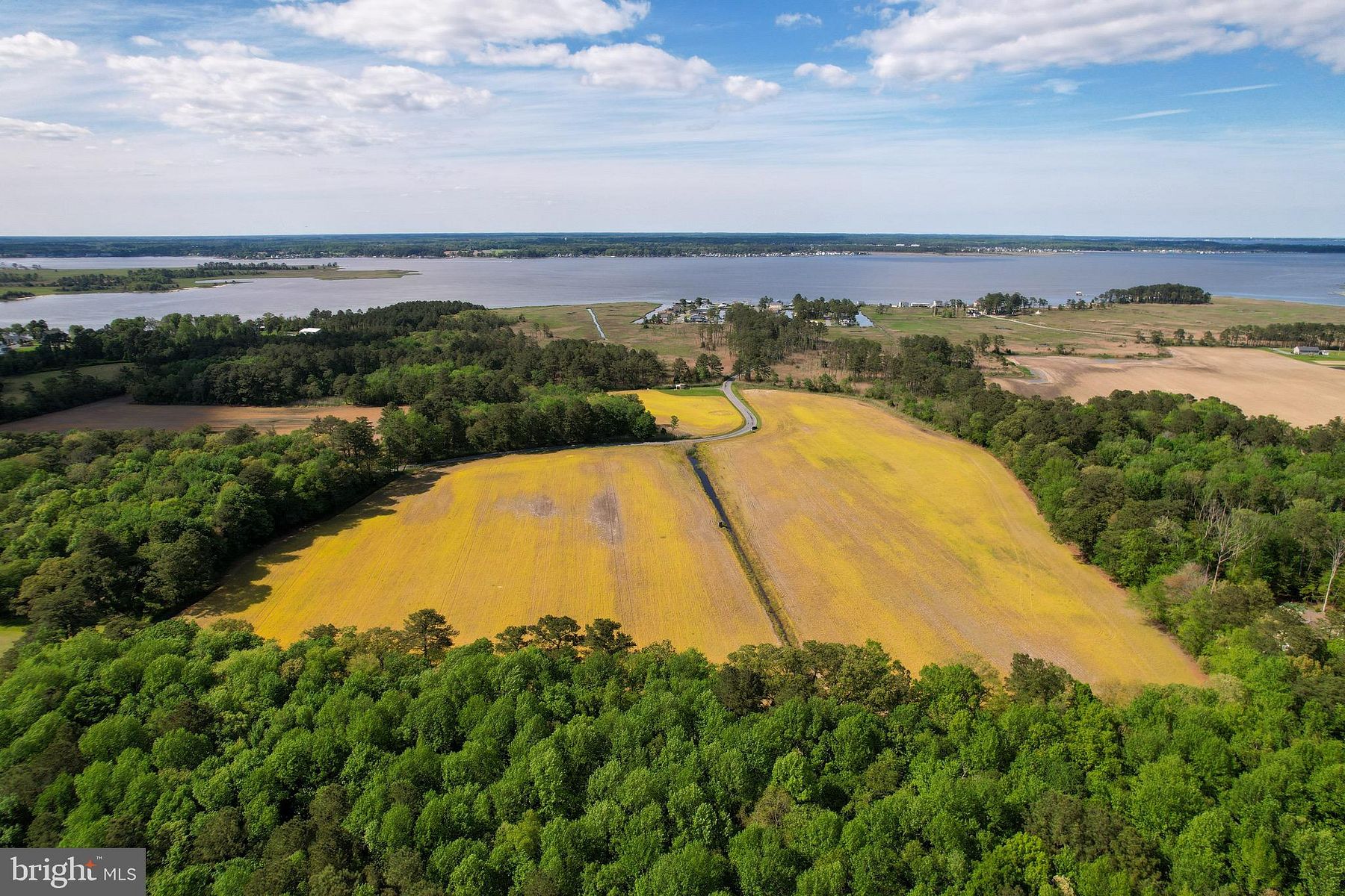 61.7 Acres of Agricultural Land Dagsboro, Delaware, DE