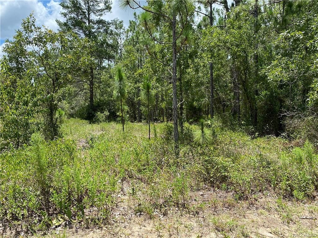 0.28 Acres of Land Homosassa, Florida, FL