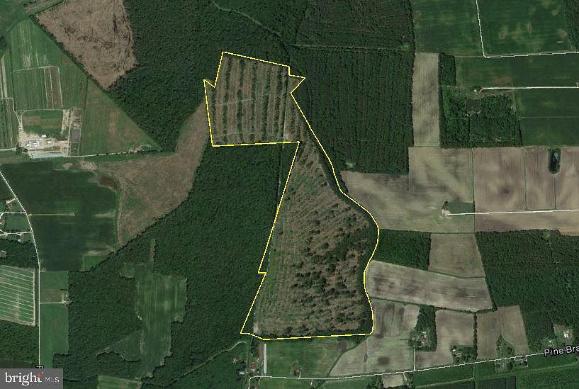 110 Acres of Recreational Land Delmar, Delaware, DE