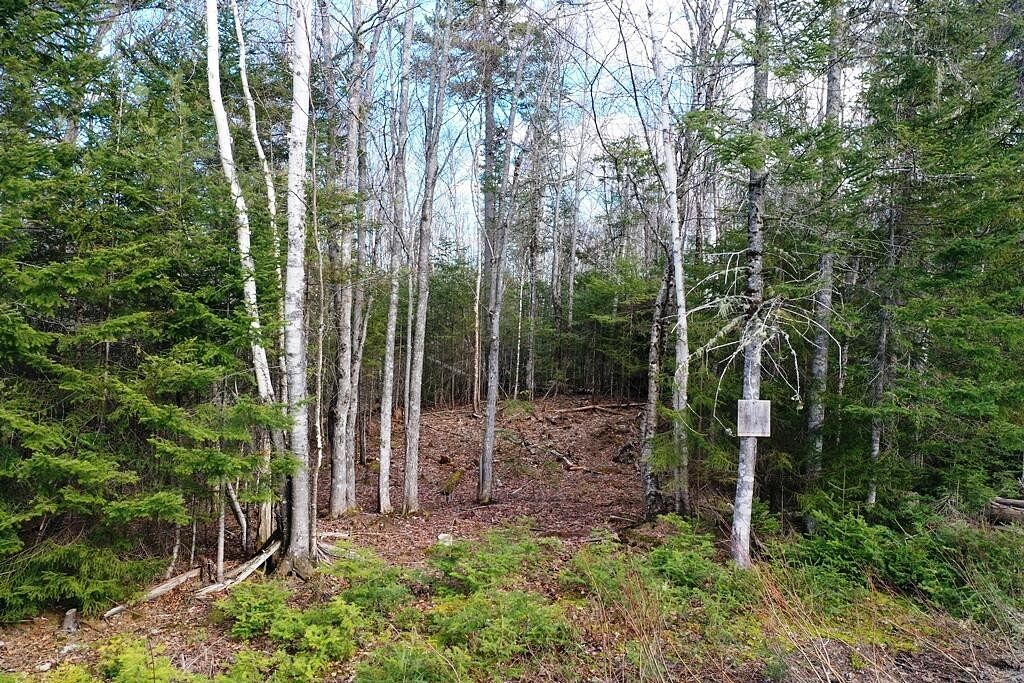 1.1 Acres of Residential Land Greenville, Maine, ME