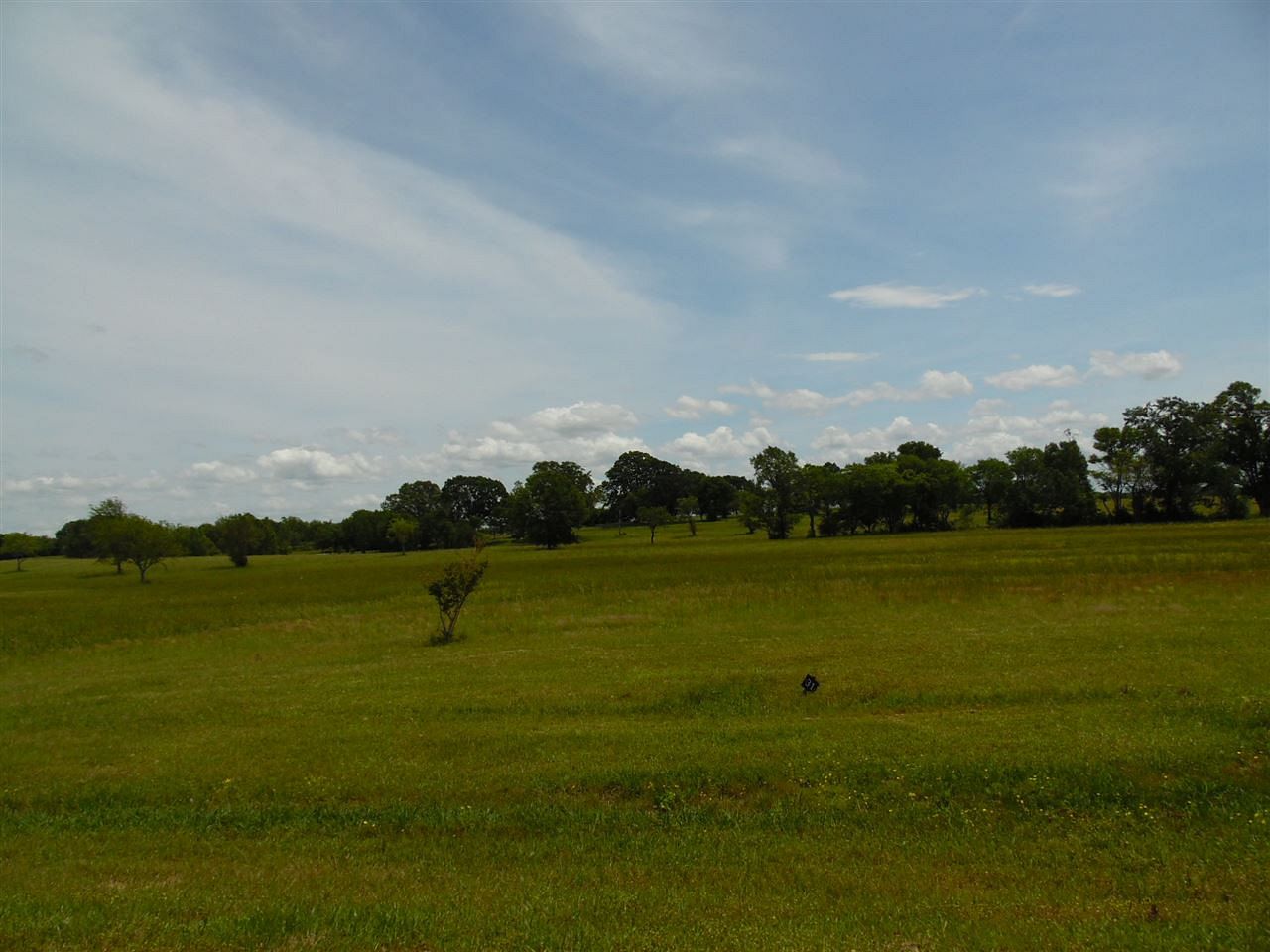 3.3 Acres of Residential Land Flora, Mississippi, MS