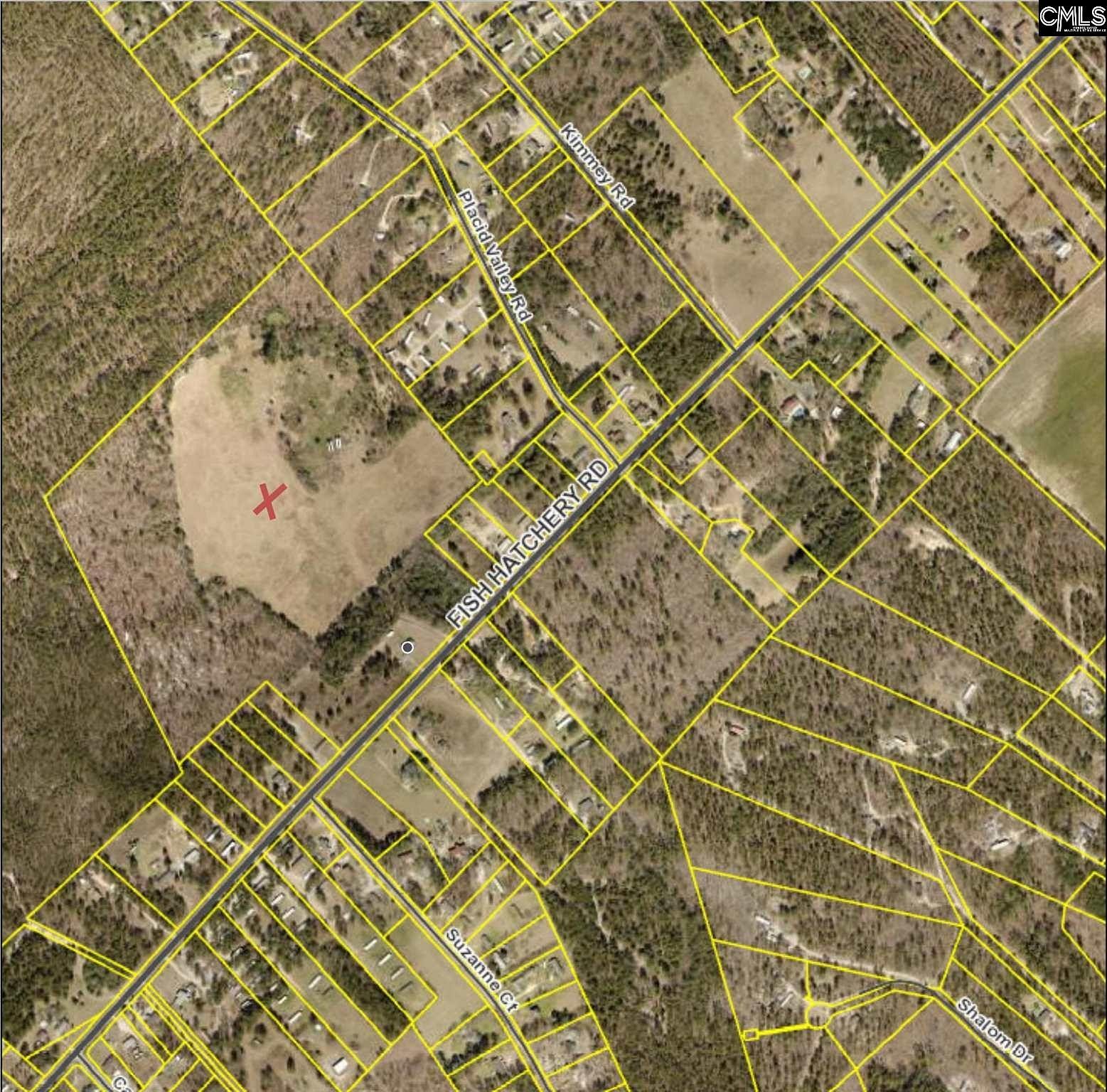 61.8 Acres of Improved Land Gaston, South Carolina, SC