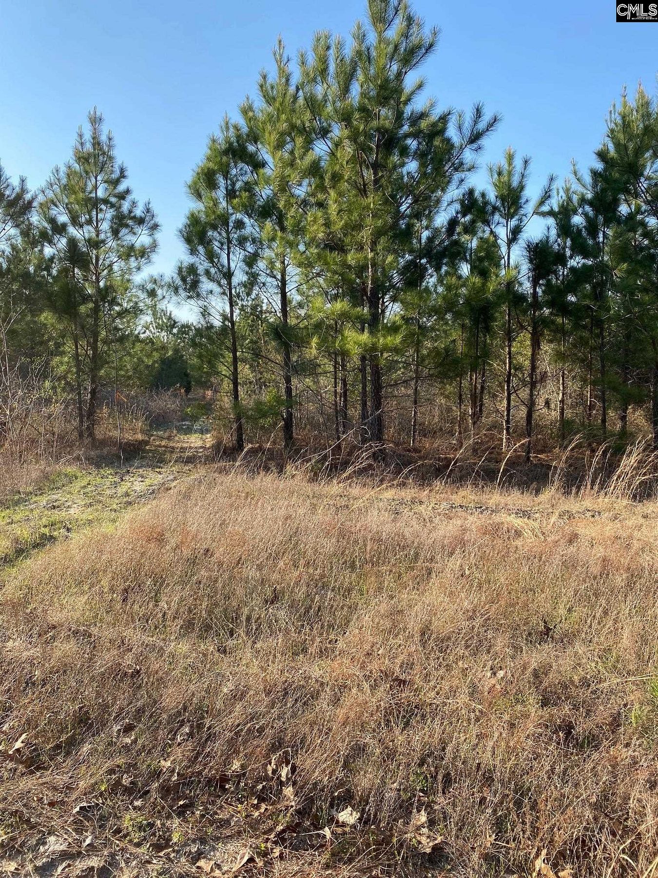 16.7 Acres of Recreational Land Gilbert, South Carolina, SC
