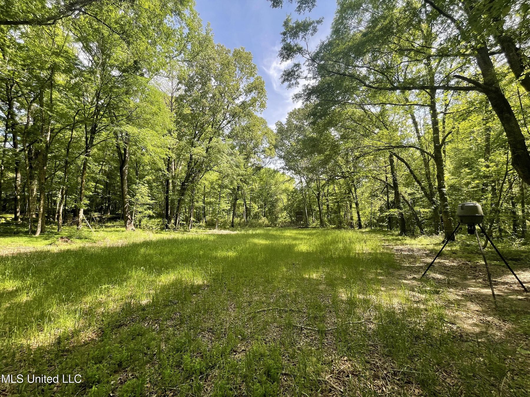 100 Acres of Recreational Land Lexington, Mississippi, MS