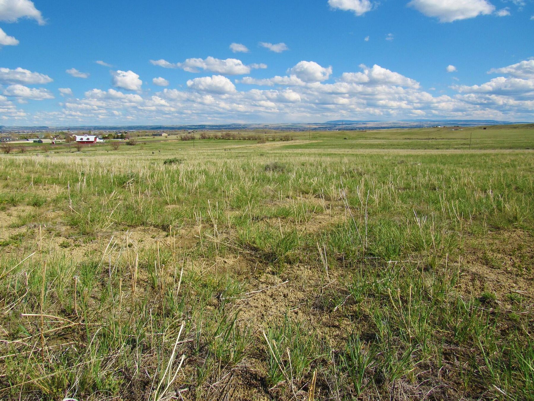 10 Acres of Residential Land Billings, Montana, MT
