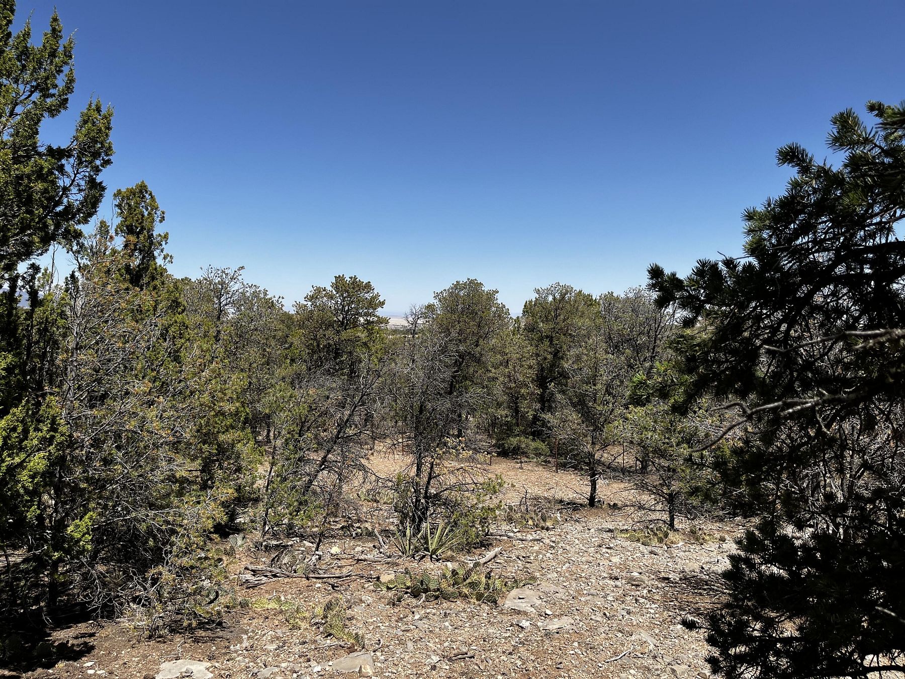 1.8 Acres of Residential Land Edgewood, New Mexico, NM